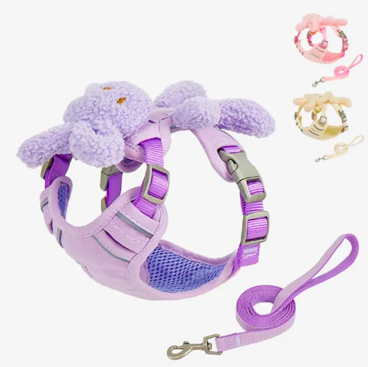 Söt hundsele och koppeluppsättning