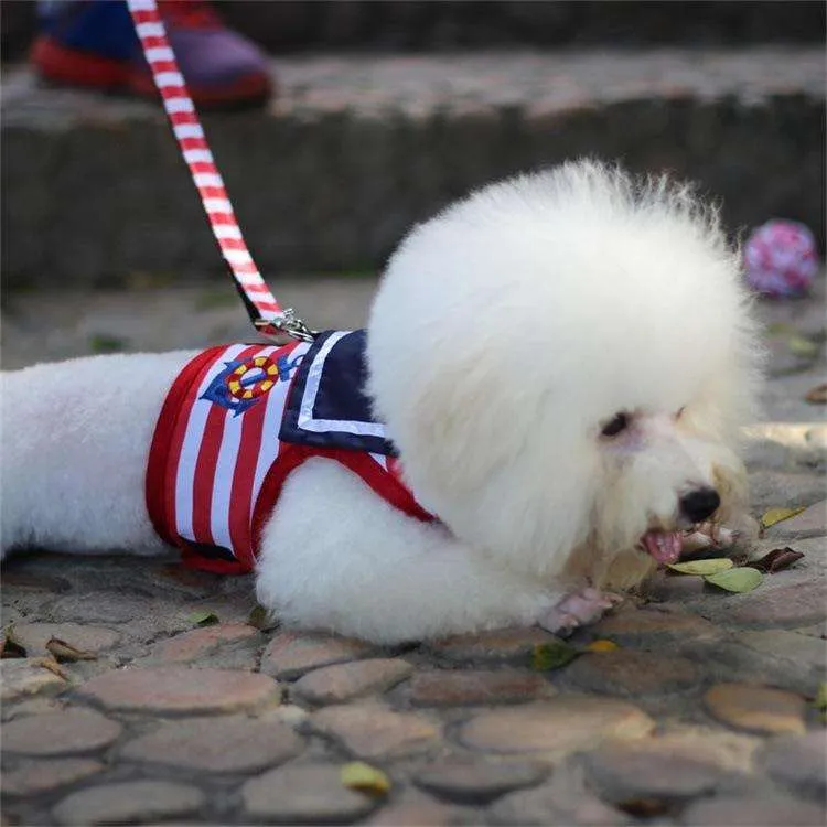 Söt sele för små hundar