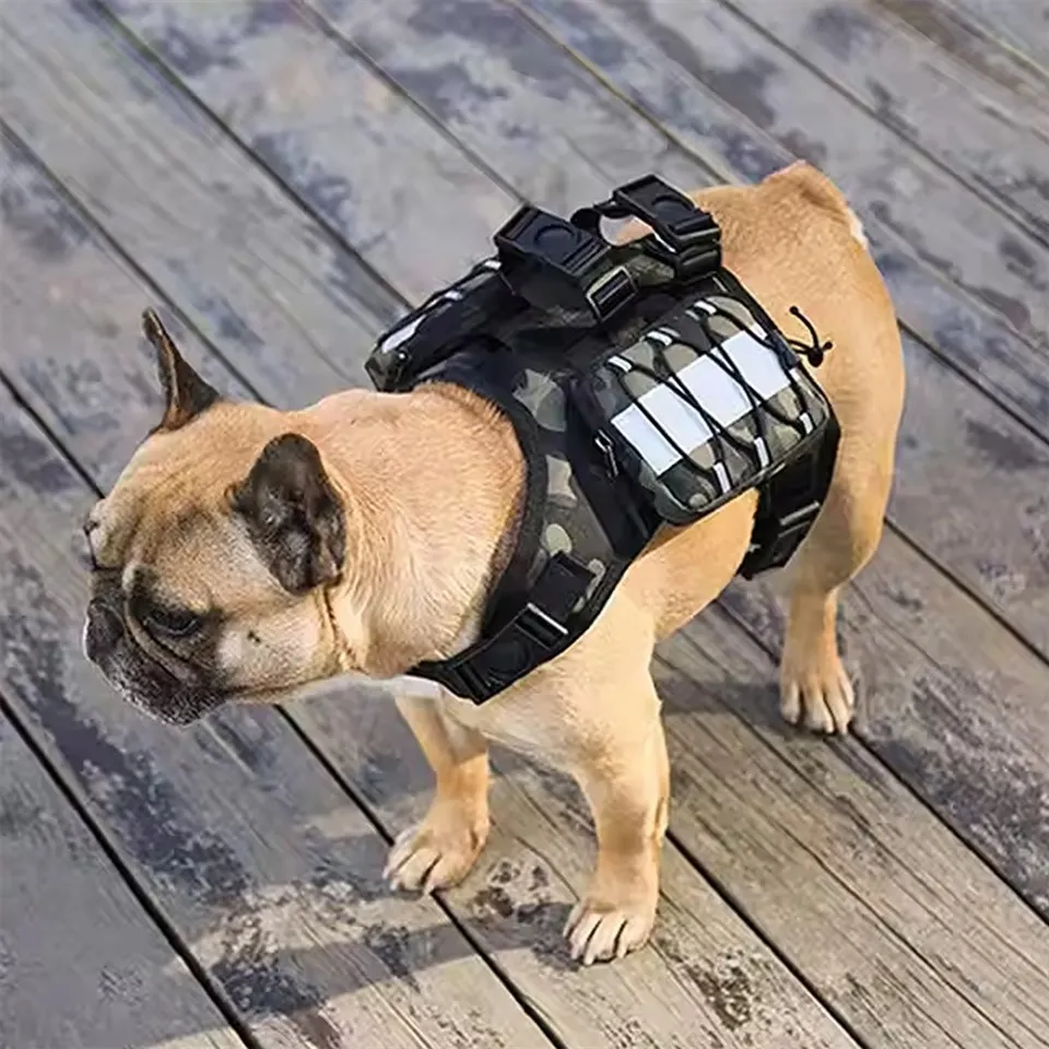 Hundsele med sadelväskor