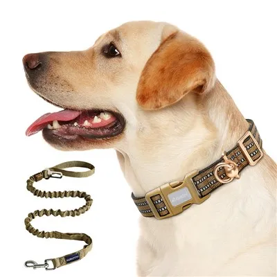 Air Tag-halsband med The Stretch Dog Leash